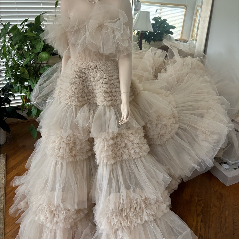 Elegant Cream Tulle Gown

Zuhair MuradRuffled Tulle Wedding Dress Size 8 - Picture 3 of 16
